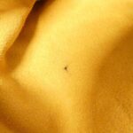 Louis Vuitton Monogram Denim Sac Ado GM M95056 Backpack - Image 9