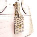 Louis Vuitton Exotic Leather City Steamer MINI N98189 Bag - Image 4