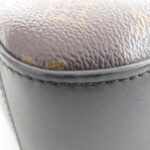 Louis Vuitton Monogram Saintonge M43555 Shoulder Bag - Image 3