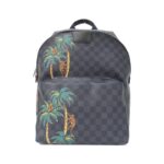 Louis Vuitton Damier Cobalt (Jungle) Apollo Backpack N50003 Backpack