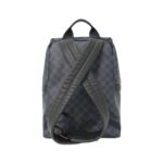 Louis Vuitton Damier Cobalt (Jungle) Apollo Backpack N50003 Backpack - Image 2