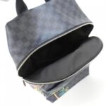 Louis Vuitton Damier Cobalt (Jungle) Apollo Backpack N50003 Backpack - Image 7