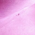 Louis Vuitton Epi Petit Noé M44109 Shoulder Bag - Image 10