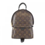 Louis Vuitton Monogram Palm Springs Backpack PM M44871 Backpack