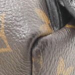 Louis Vuitton Monogram Palm Springs Backpack PM M44871 Backpack - Image 4