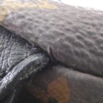 Louis Vuitton Monogram Palm Springs Backpack PM M44871 Backpack - Image 9