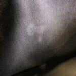 Louis Vuitton Monogram Mini Lin Soufflot 30cm M95227 Shoulder Bag - Image 10