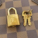 Louis Vuitton Damier Speedy 25cm N41365 Duffle Bag - Image 3