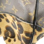 Louis Vuitton Monogram Leopard Paurie M95282 Shoulder Bag - Image 4