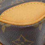 Louis Vuitton Monogram Amazon M45236 Shoulder Bag - Image 3