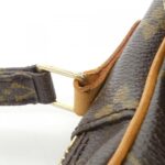 Louis Vuitton Monogram Amazon M45236 Shoulder Bag - Image 6