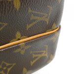 Louis Vuitton Monogram Amazon M45236 Shoulder Bag - Image 3