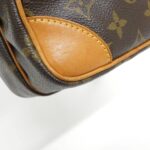 Louis Vuitton Monogram Amazon M45236 Shoulder Bag - Image 4