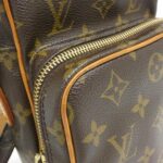 Louis Vuitton Monogram Amazon M45236 Shoulder Bag - Image 6