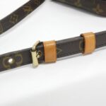 Louis Vuitton Monogram Amazon M45236 Shoulder Bag - Image 8