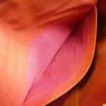 Louis Vuitton Damier Naviglio N45255 Shoulder Bag - Image 9