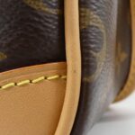 Louis Vuitton Monogram (Cosygram) Diane PM M46317 Shoulder Bag - Image 5