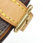 Louis Vuitton Monogram Tambourin M51179 Shoulder Bag - Image 5