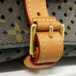 Louis Vuitton Monogram Flore Soumier M93998 Shoulder Bag - Image 5