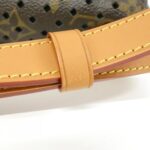 Louis Vuitton Monogram Flore Soumier M93998 Shoulder Bag - Image 6