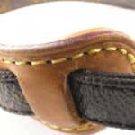 Louis Vuitton Monogram Amazon M45236 Shoulder Bag - Image 5