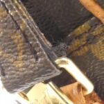 Louis Vuitton Monogram Amazon M45236 Shoulder Bag - Image 6