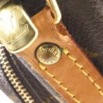 Louis Vuitton Monogram Amazon M45236 Shoulder Bag - Image 7