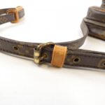 Louis Vuitton Monogram Amazon M45236 Shoulder Bag - Image 4