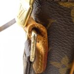 Louis Vuitton Monogram Amazon M45236 Shoulder Bag - Image 5