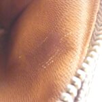 Louis Vuitton Monogram Amazon M45236 Shoulder Bag - Image 7