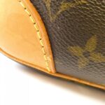 Louis Vuitton Monogram Amazon M45236 Shoulder Bag - Image 4