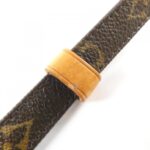 Louis Vuitton Monogram Amazon M45236 Shoulder Bag - Image 5