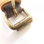 Louis Vuitton Monogram Amazon M45236 Shoulder Bag - Image 7