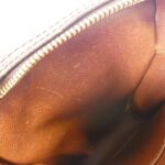 Louis Vuitton Monogram Amazon M45236 Shoulder Bag - Image 9