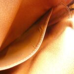 Louis Vuitton Monogram Amazon M45236 Shoulder Bag - Image 10