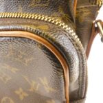 Louis Vuitton Monogram Amazon M45236 Shoulder Bag - Image 4