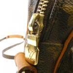 Louis Vuitton Monogram Amazon M45236 Shoulder Bag - Image 5