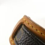 Louis Vuitton Monogram Amazon M45236 Shoulder Bag - Image 8