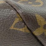 Louis Vuitton Monogram Raspail PM M40608 Bag - Image 2