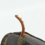 [Vintage] Louis Vuitton Monogram Mini Speedy M41534 Duffle Bag - Image 4