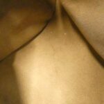 Louis Vuitton Multicolor Priscilla M40097 Bag - Image 10