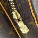 Louis Vuitton Monogram Amazon M45236 Shoulder Bag - Image 4