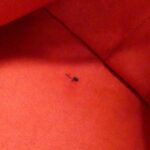 Louis Vuitton Damier Saleya PM N51183 Bag - Image 9