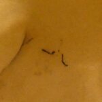 Louis Vuitton Monogram Galliera GM M56381 Shoulder Bag - Image 10