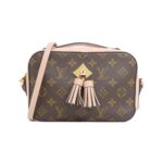 Louis Vuitton Monogram Saintonge M44442 Shoulder Bag