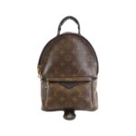 Louis Vuitton Monogram Palm Springs Backpack PM M41560 Backpack