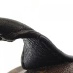 Louis Vuitton Monogram Palm Springs Backpack PM M41560 Backpack - Image 8