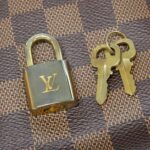 Louis Vuitton Damier Speedy 25cm N41365 Duffle Bag - Image 5