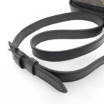 Louis Vuitton Monogram Macassar Christopher Wearable Wallet M69404 Shoulder Bag - Image 5