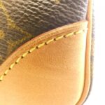 Louis Vuitton Monogram Amazon M45236 Shoulder Bag - Image 4